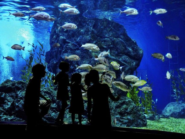 post_capetown_01 https://www.nicetripsmorocco.com/wp-content/uploads/2018/08/post_capetown_01-640x480.jpg