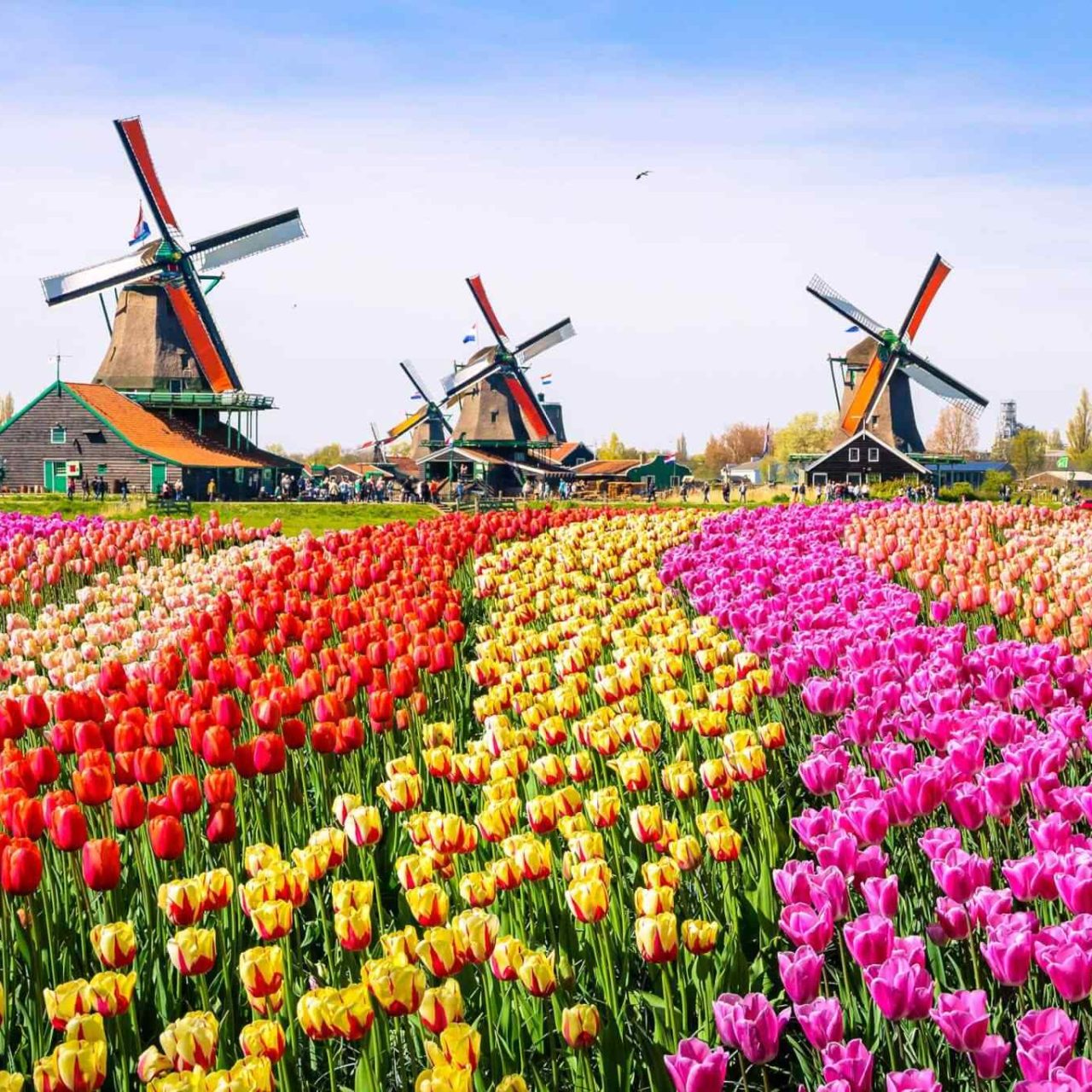https://www.nicetripsmorocco.com/wp-content/uploads/2018/09/destination-netherlands-01-1280x1280.jpg