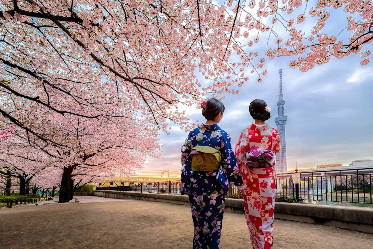 destination-tokyo-03 https://www.nicetripsmorocco.com/wp-content/uploads/2018/09/destination-tokyo-03-1280x854.jpg