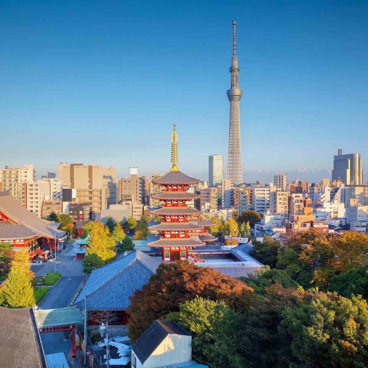 https://www.nicetripsmorocco.com/wp-content/uploads/2018/09/destination-tokyo-04-1280x1280.jpg