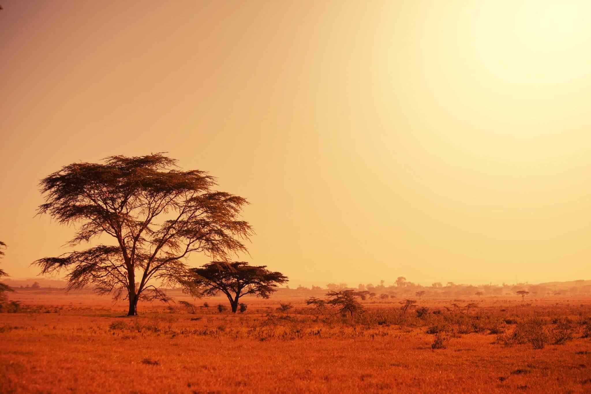 https://www.nicetripsmorocco.com/wp-content/uploads/2018/09/tour-africa-02.jpg