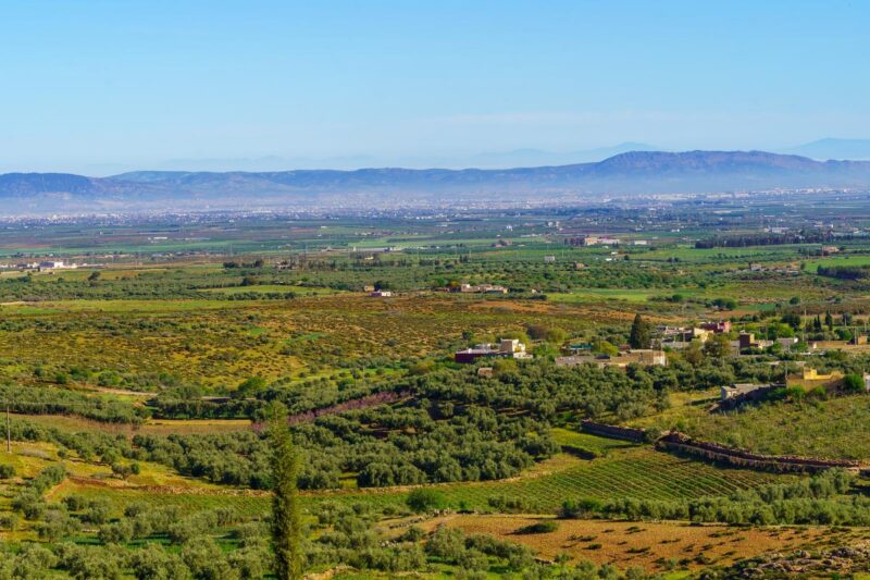 Day trip from fez to the middel atlas and the forest monkeys